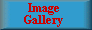 Image Gallery